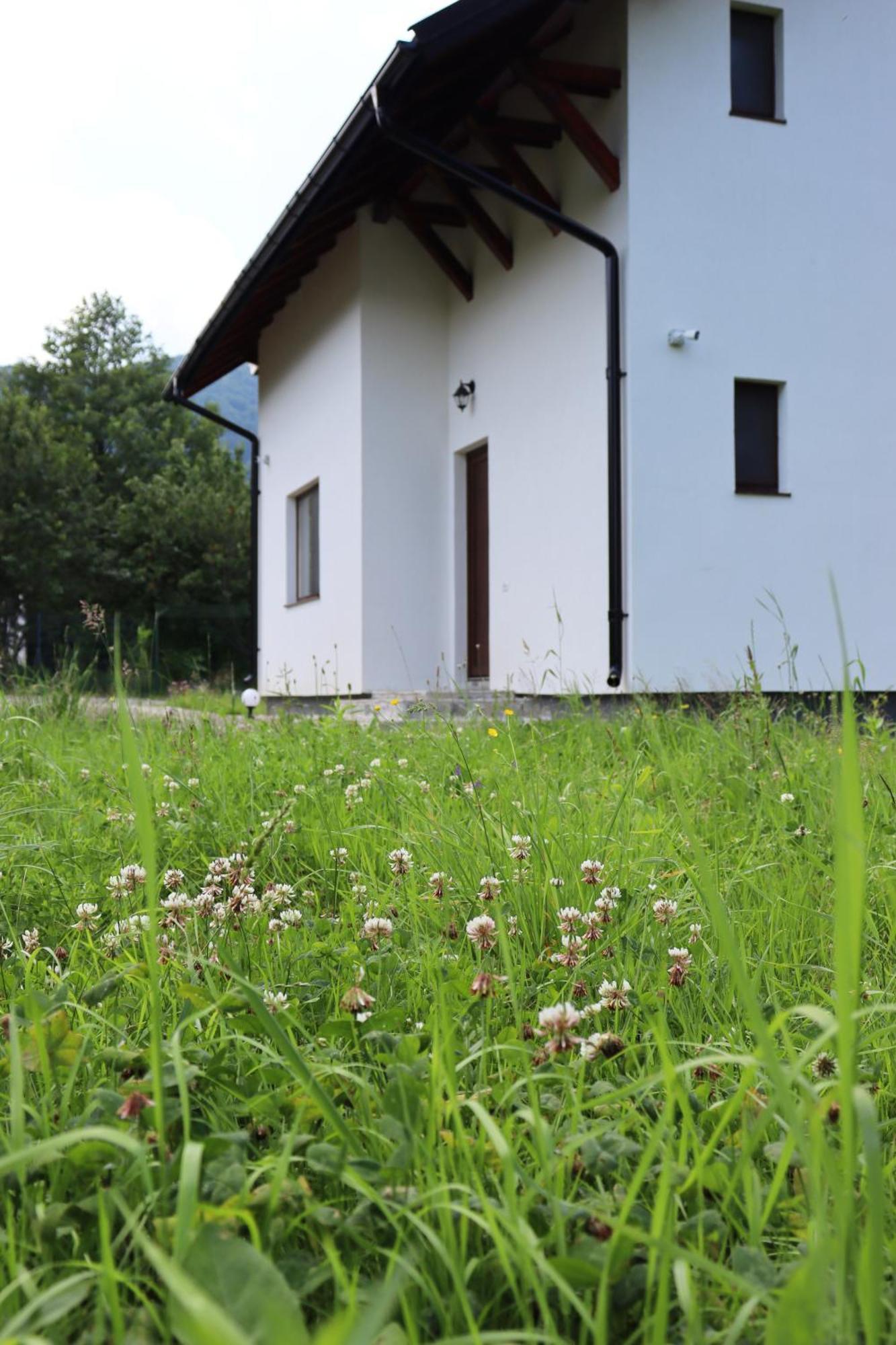 Zen House Bran * Bran (Brasov)